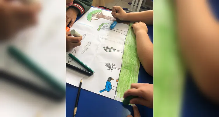 Confira a série de registros do amplo trabalho realizado pelos educandos.