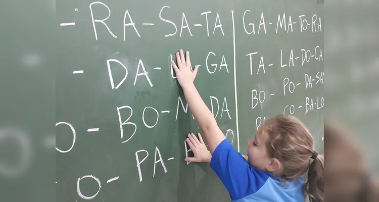 Confira os destaques da ampla proposta.