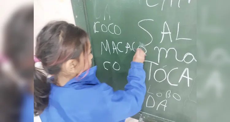 Confira os destaques da ampla proposta.