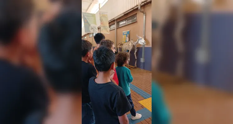 Confira a série de registros do amplo trabalho dentro e fora da sala de aula.