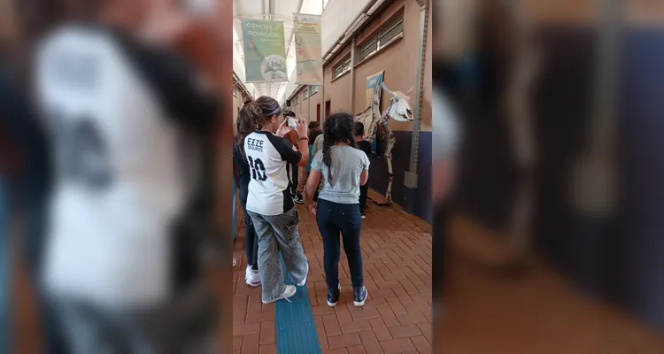 Confira a série de registros do amplo trabalho dentro e fora da sala de aula.