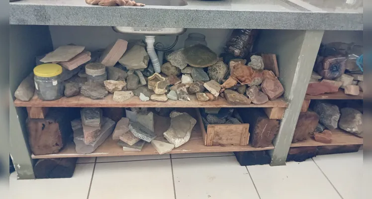 Confira a série de registros do amplo trabalho dentro e fora da sala de aula.