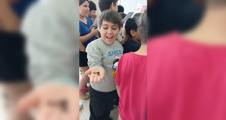 Confira a série de registros do amplo trabalho dentro e fora da sala de aula.