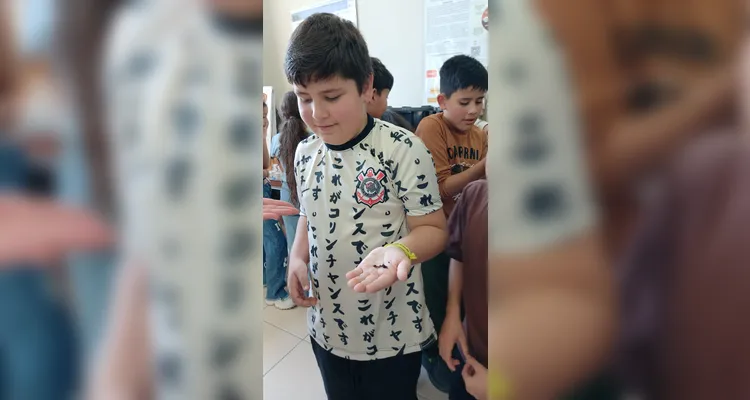 Confira a série de registros do amplo trabalho dentro e fora da sala de aula.