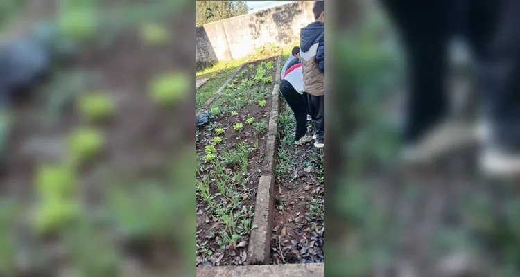 Confira a série de registros do amplo trabalho dentro e fora da sala de aula.