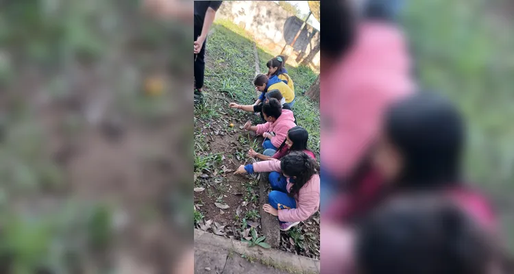 Confira a série de registros do amplo trabalho dentro e fora da sala de aula.