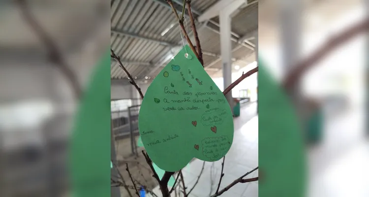 Videoaula e haicais em turma de Imbaú unem poesia e meio ambiente