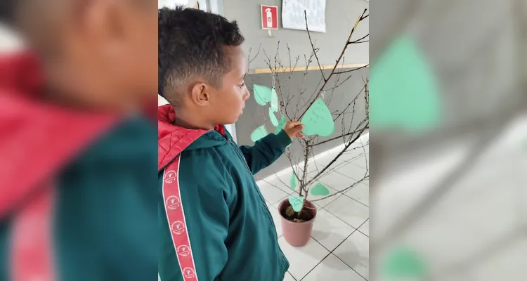 Confira a série de registros do amplo trabalho realizado pelos educandos em várias etapas.