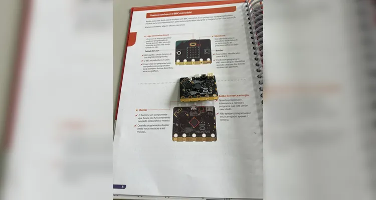 Confira a série de registros do amplo trabalho em sala de aula.