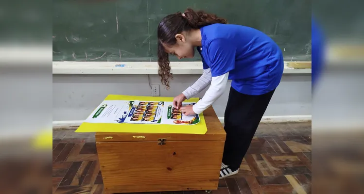 Confira a série de registros do trabalho em sala de aula.
