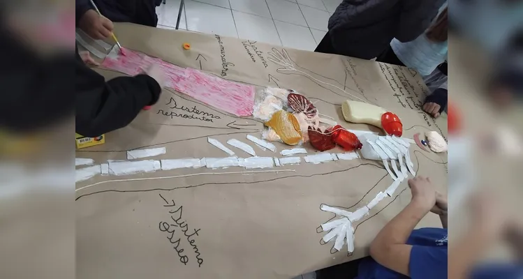 Veja como foi o trabalho em sala de aula.
