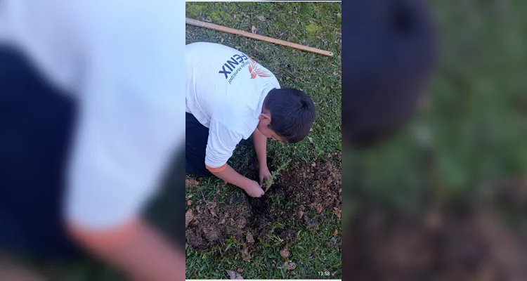 Confira a série de registros do amplo trabalho realizado em várias etapas.