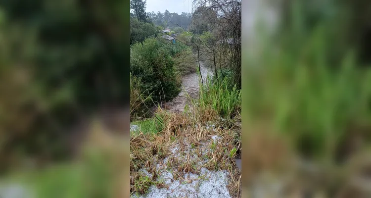 Chuvas Fortes causam estragos em bairros de Ponta Grossa