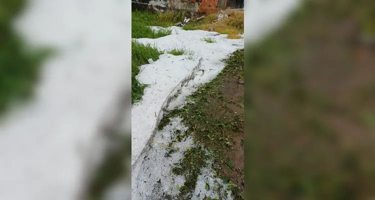 Chuvas Fortes causam estragos em bairros de Ponta Grossa