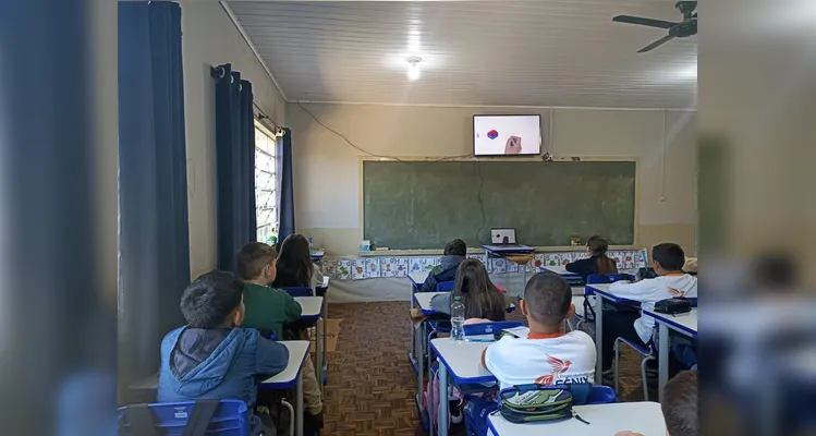 Confira a série de registros do amplo trabalho realizado em várias etapas.