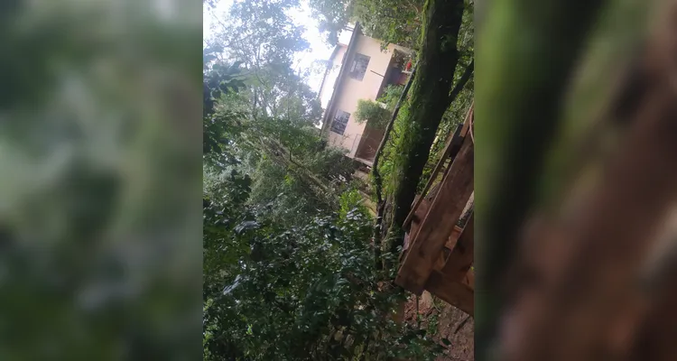 Bombeiros atendem 6 chamados de corte de árvores por conta do temporal em PG