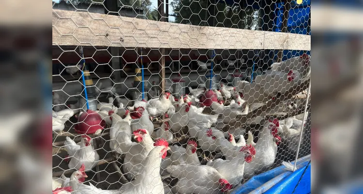 Municípios da AMCG debatem iniciativas para a agroindústria regional