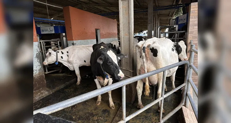 Parque Tecnológico Agroleite inova para fortalecer a cadeia leiteira nacional