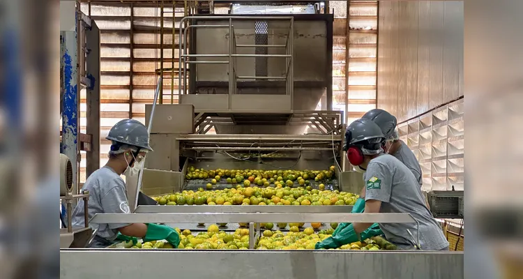 Tetra Pak garante máxima qualidade e sabor ao suco Prat’s