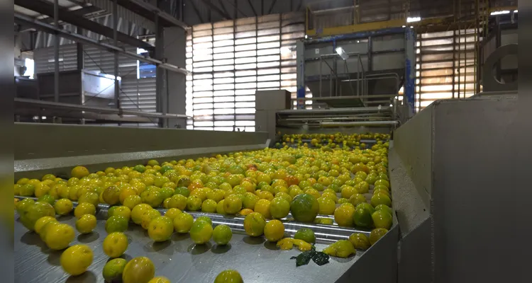 Tetra Pak garante máxima qualidade e sabor ao suco Prat’s