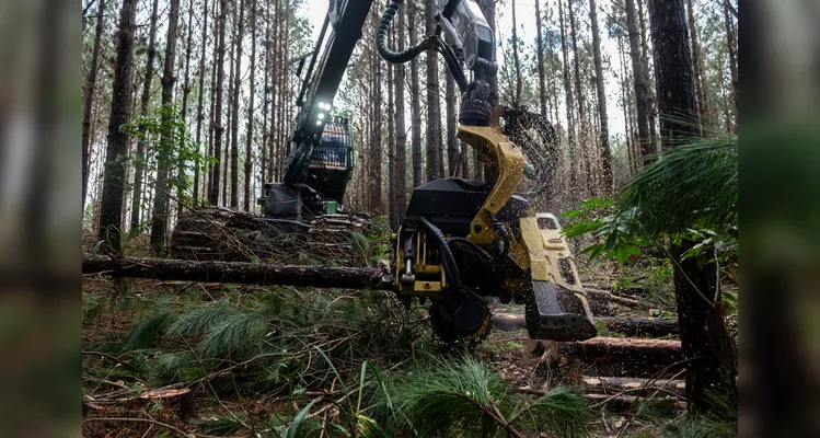 Indústrias locais unem desenvolvimento econômico e sustentabilidade em PG