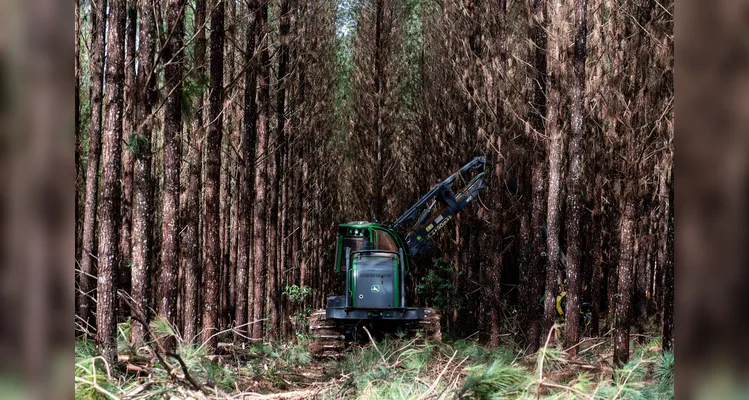 Indústrias locais unem desenvolvimento econômico e sustentabilidade em Ponta Grossa