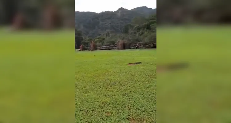 Vendaval provoca estragos e levanta suspeita de tornado em Tibagi