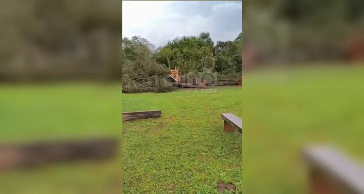 Vendaval provoca estragos e levanta suspeita de tornado em Tibagi