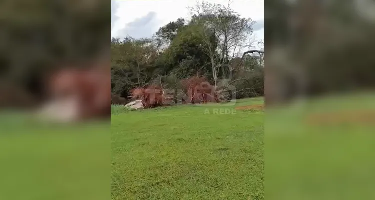 Vendaval provoca estragos e levanta suspeita de tornado em Tibagi