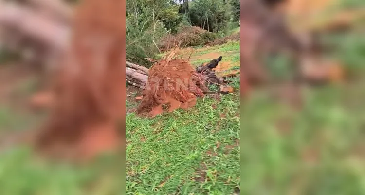 Vendaval provoca estragos e levanta suspeita de tornado em Tibagi