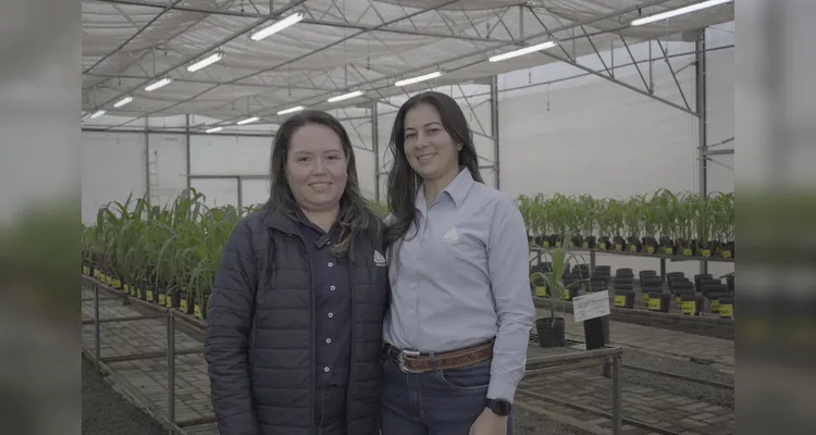 Agrocete eleva a produção ao construir produtividade na região