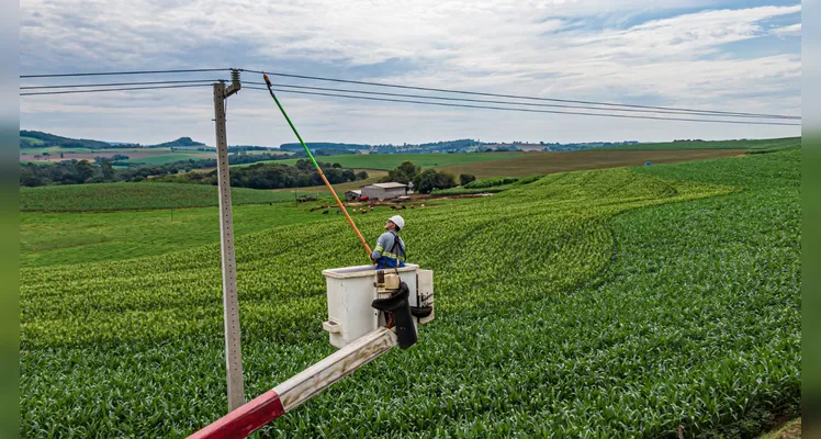 Copel Agro garante suporte prioritário e segurança energética no agro