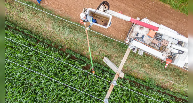 Copel Agro garante suporte prioritário e segurança energética no agro