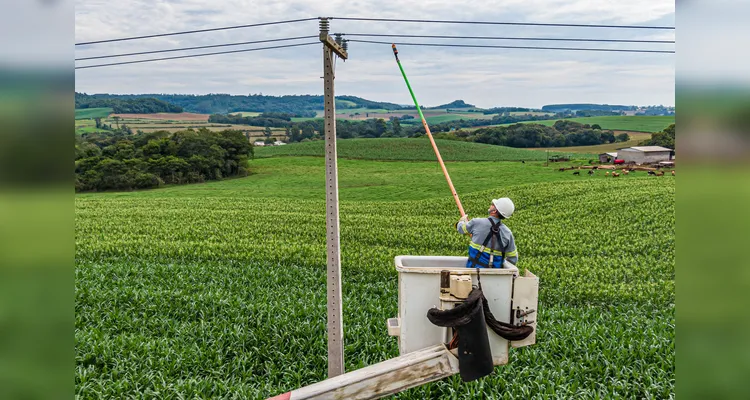 Copel Agro garante suporte prioritário e segurança energética no agro