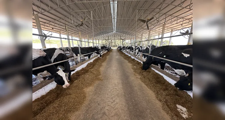 Cresol financia o crescimento da produção agropecuária na região