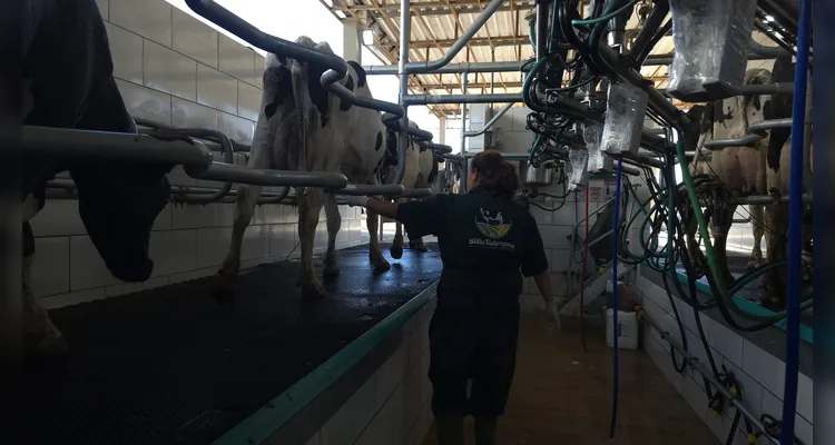 Cresol financia o crescimento da produção agropecuária na região