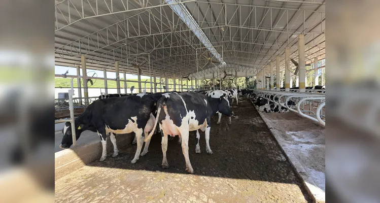 Cresol financia o crescimento da produção agropecuária na região
