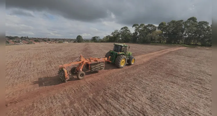 A safra de soja registrou rendimento médio de 4.300 quilos por hectare nos Campos Gerais, a maior marca já alcançada na região