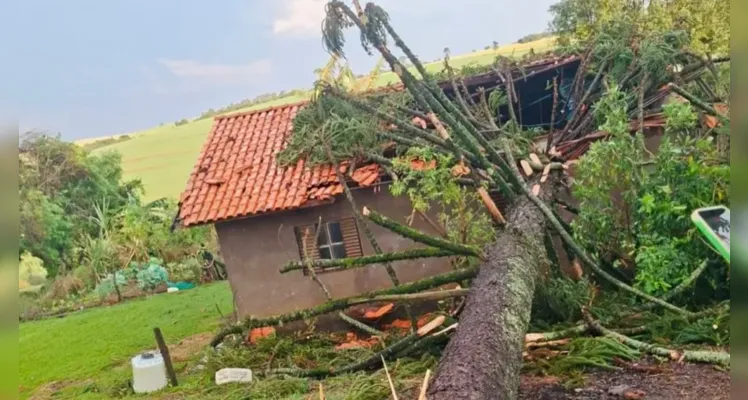 Além de ventos fortes, Arapoti registra chuva de granizos