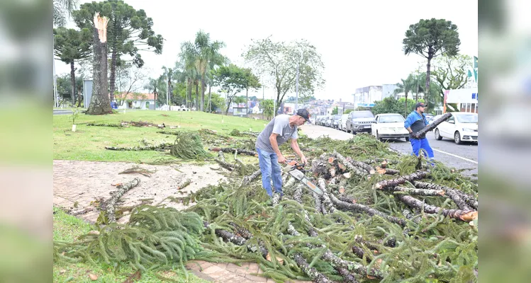 Telêmaco Borba registrou tempestade acompanhada de vendaval