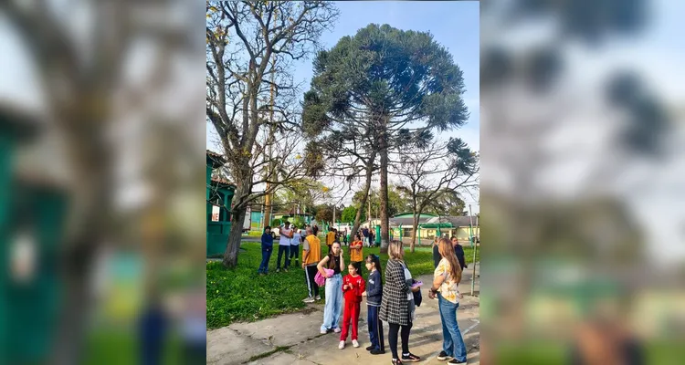Plantio realizado na Escola Municipal Pascoalino Provisiero - Vila Velha. Imagem de propriedade da MKCOM