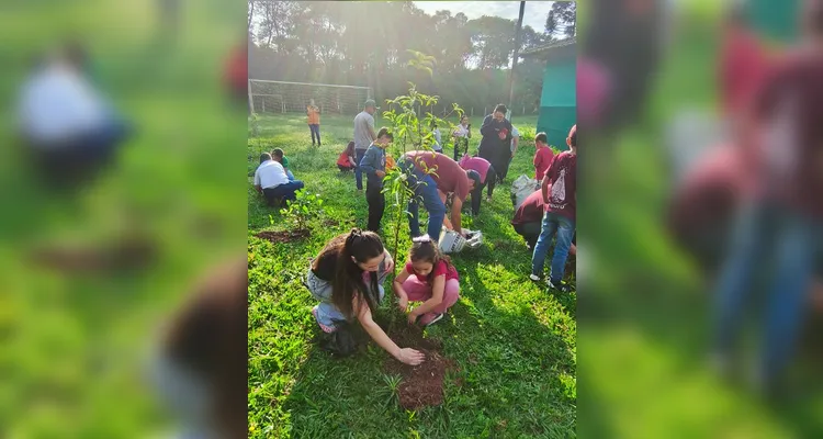 Plantio realizado na Escola Municipal Pascoalino Provisiero - Vila Velha. Imagem de propriedade da MKCOM