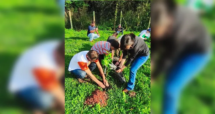 Plantio realizado na Escola Municipal Pascoalino Provisiero - Vila Velha. Imagem de propriedade da MKCOM