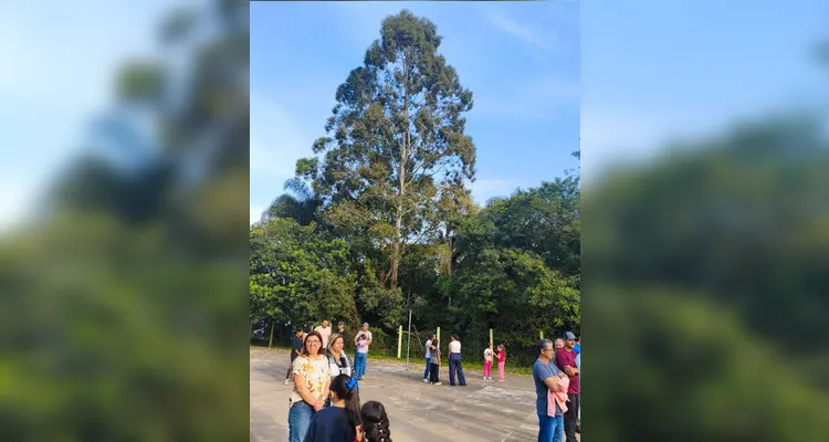 Plantio realizado na Escola Municipal Pascoalino Provisiero - Vila Velha. Imagem de propriedade da MKCOM