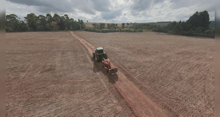Frísia tem alta média produtiva e eleva a renda dos produtores