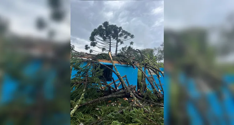 Tornado destrói casas e deixa cerca de 500 pessoas afetadas em Piraí do Sul