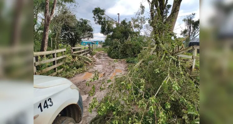 Tornado destrói casas e deixa cerca de 500 pessoas afetadas em Piraí do Sul