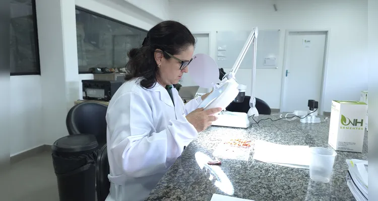 NH Sementes investe em unidade de beneficiamento para ampliar produção