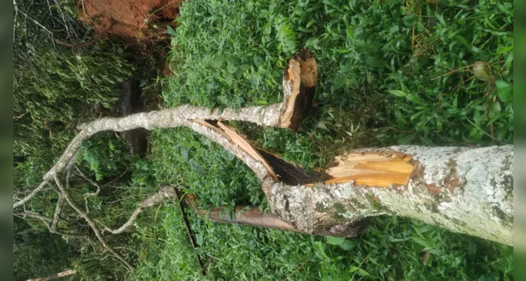Registros feitos após o tornado em 2023
