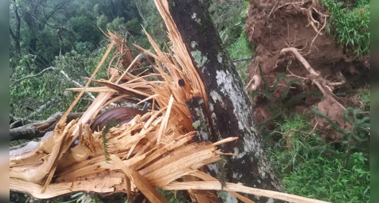 Registros feitos após o tornado em 2023